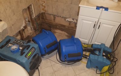 Cavity Dryer With Air Movers Small Dehumidifier