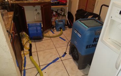 Cavity Dryer With Laminar Air Mover
