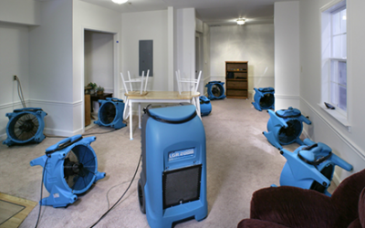 Professional Water Damage Restoration in Miami Florida