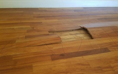 Water Damaged Wood Floor