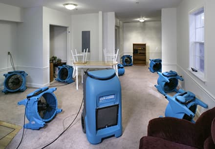 Professional Water Damage Restoration in Miami Florida