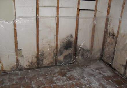 Secondary Water Damage